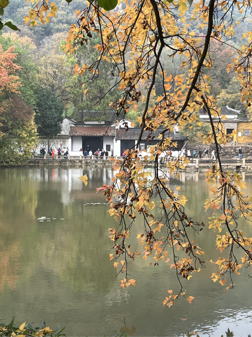 1669807973771610.png 图片4.png